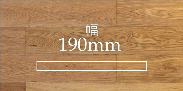 190mm
