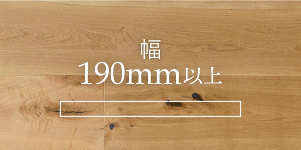 190mm以上
